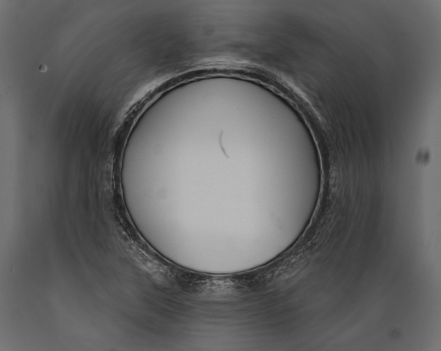 X0000088851315200706291446