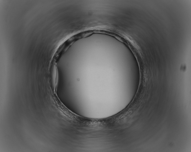 X0000088851316200706291446