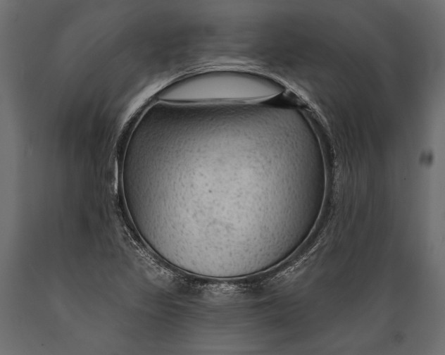 X0000088851317200706291446