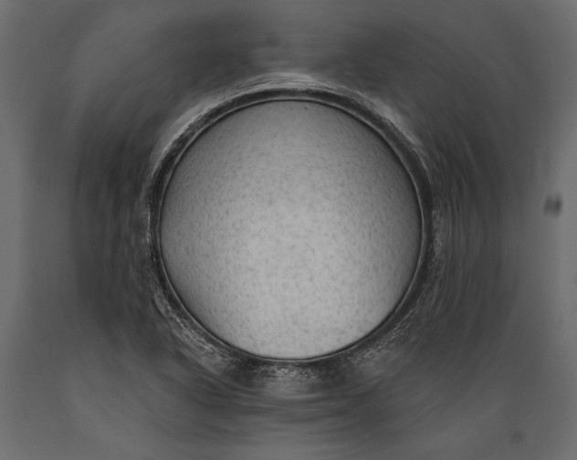 X0000088851318200706291446