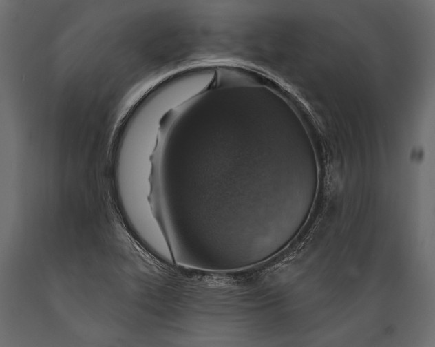 X0000088851319200706291446