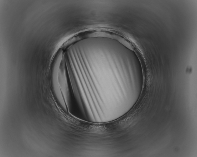 X0000088851320200706291446