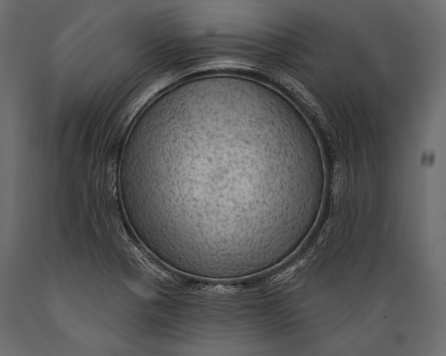 X0000088851321200706291446