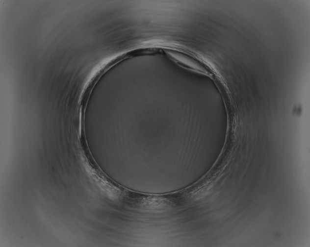 X0000088851323200706291446