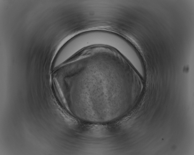 X0000088851324200706291446