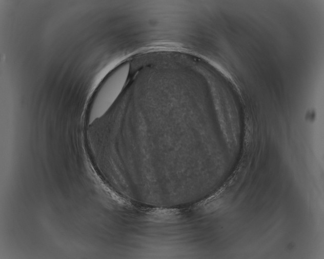 X0000088851325200706291446