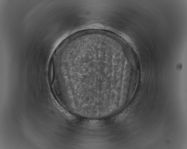 X0000088851326200706291446