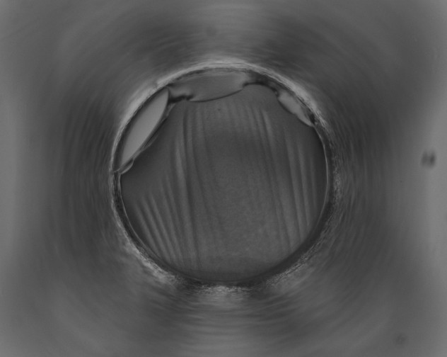 X0000088851327200706291446