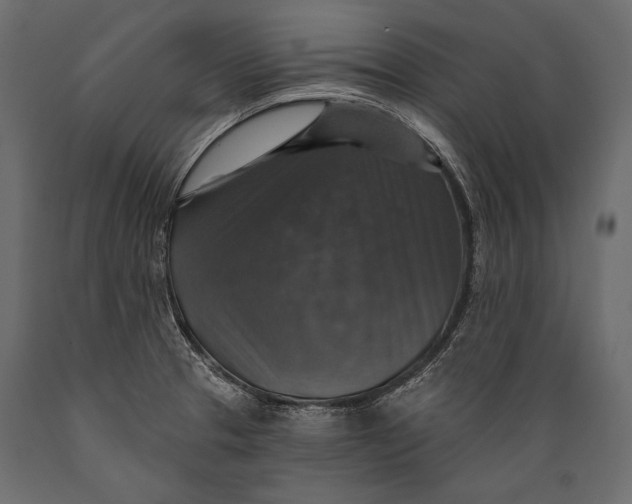 X0000088851329200706291446