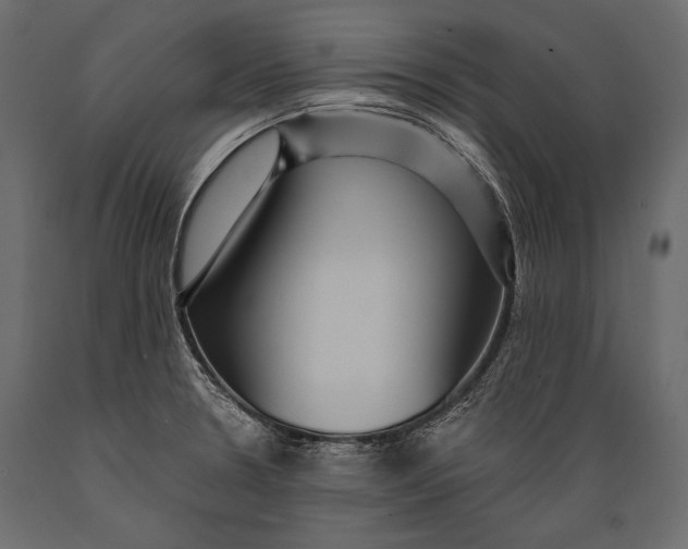 X0000088851330200706291446