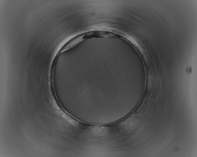 X0000088851331200706291446