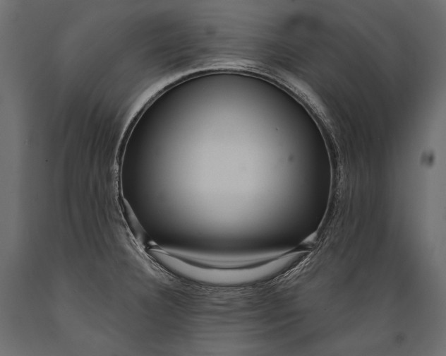 X0000088851332200706291446