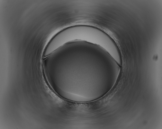 X0000088851334200706291446