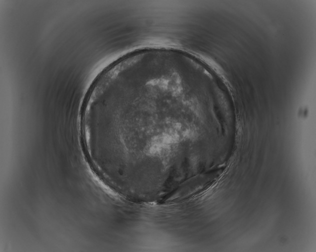 X0000088851335200706291446