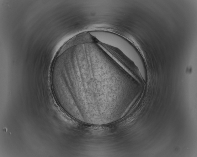 X0000088851336200706291446