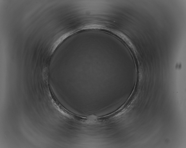 X0000088851337200706291446