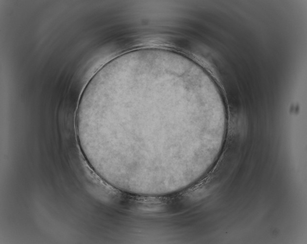 X0000088851338200706291446