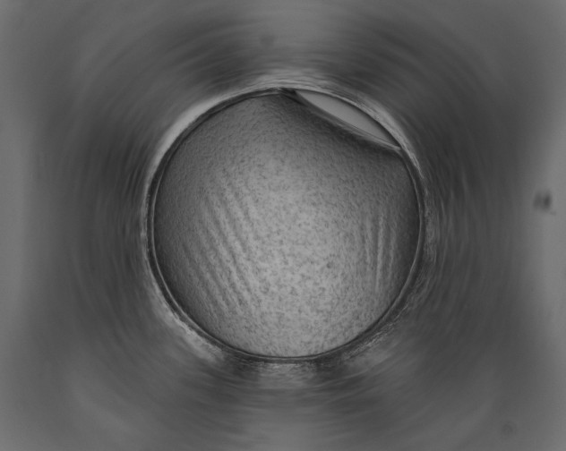 X0000088851339200706291446