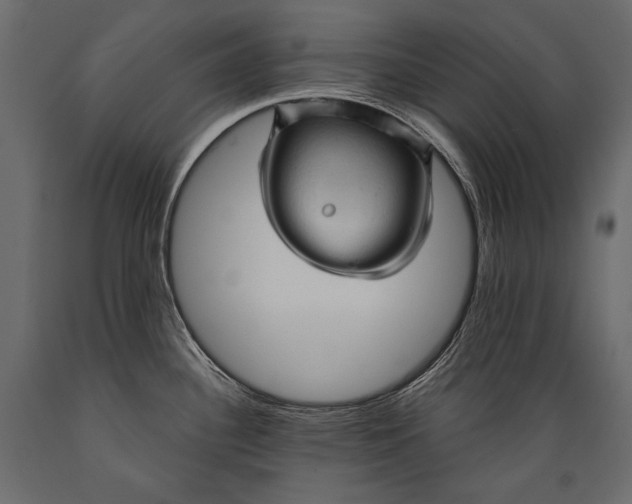 X0000088851340200706291446