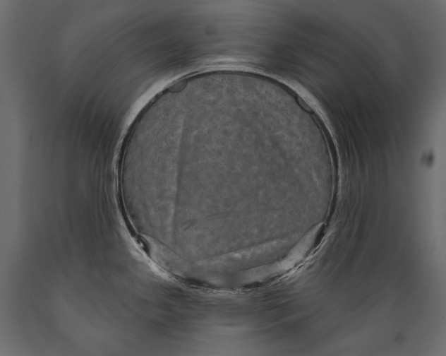 X0000088851341200706291446