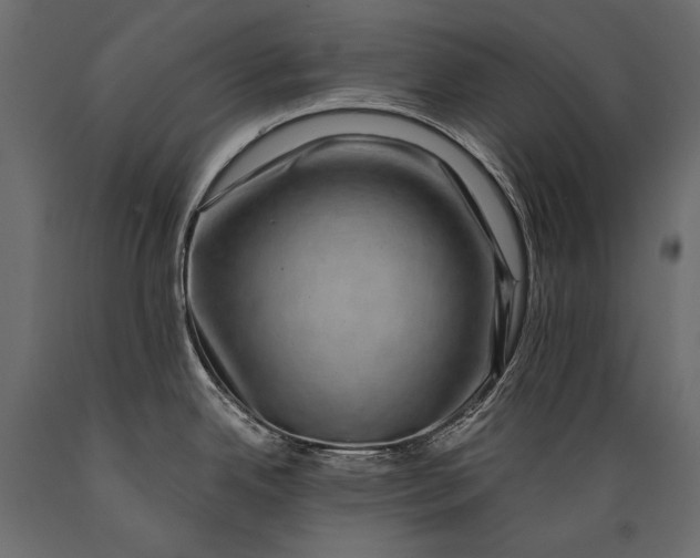 X0000088851342200706291446