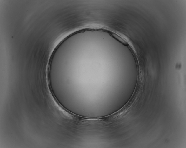 X0000088851343200706291446