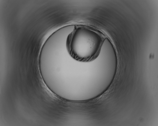 X0000088851344200706291446