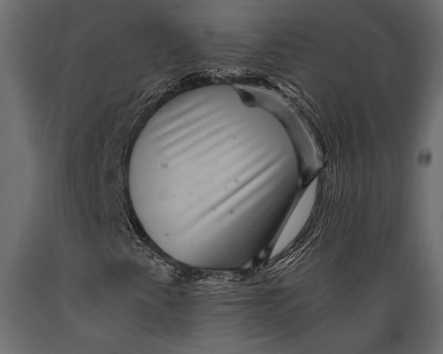 X0000088851345200706291446