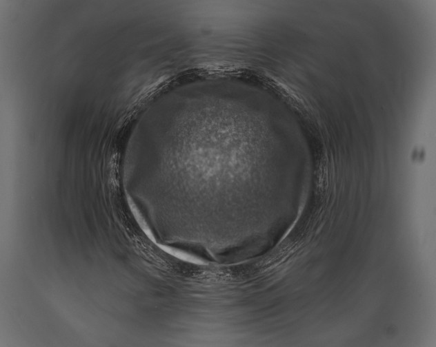 X0000088851346200706291446