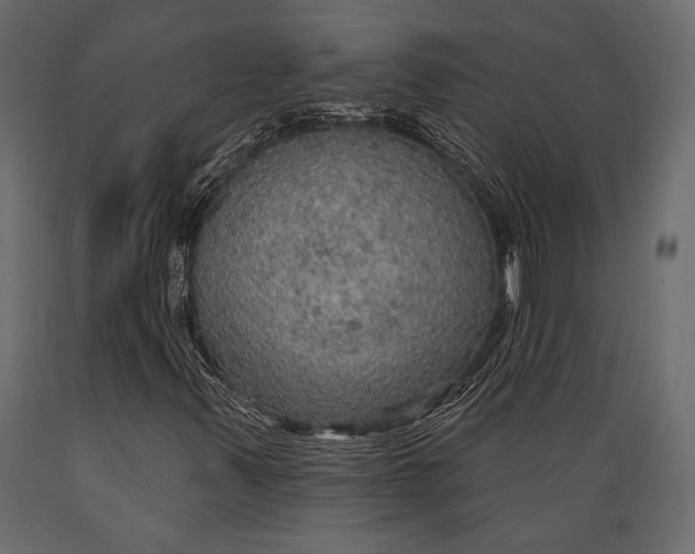 X0000088851347200706291446