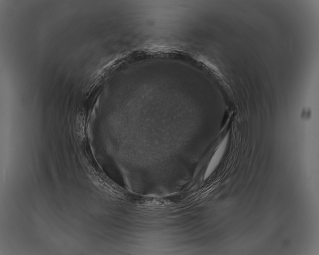 X0000088851348200706291446