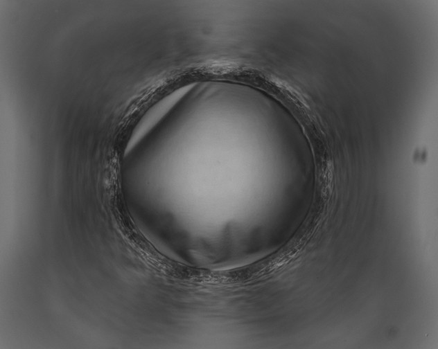 X0000088851349200706291446