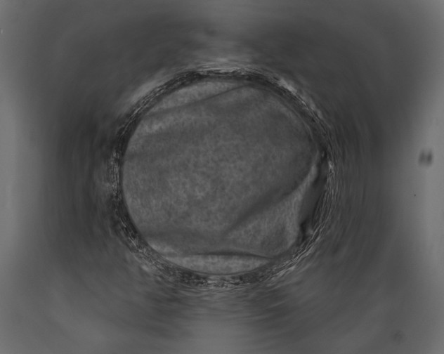 X0000088851350200706291446