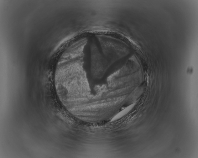 X0000088851351200706291446