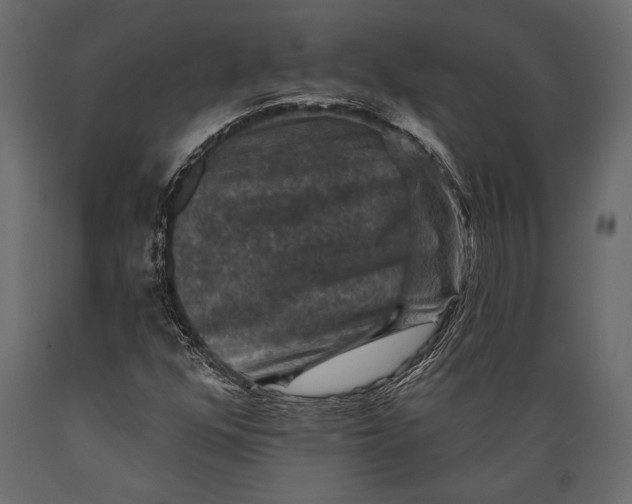 X0000088851352200706291446