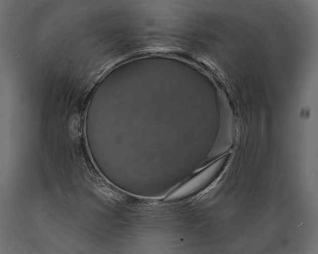 X0000088851353200706291446