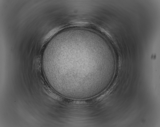 X0000088851354200706291446