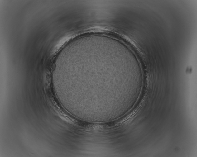 X0000088851355200706291446