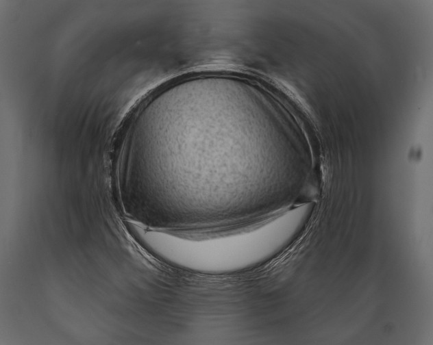 X0000088851356200706291446