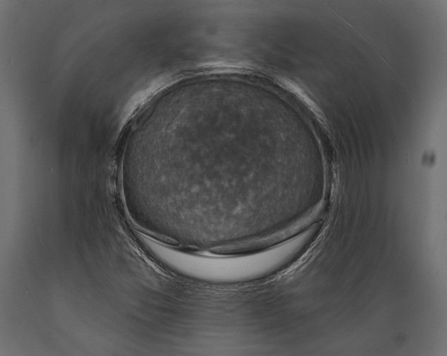 X0000088851357200706291446