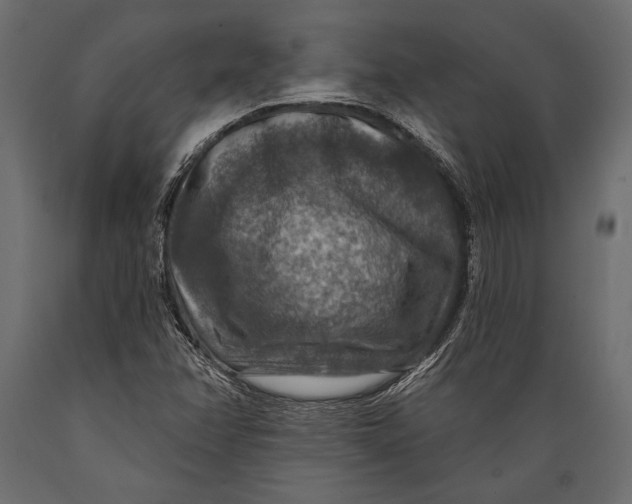 X0000088851358200706291446