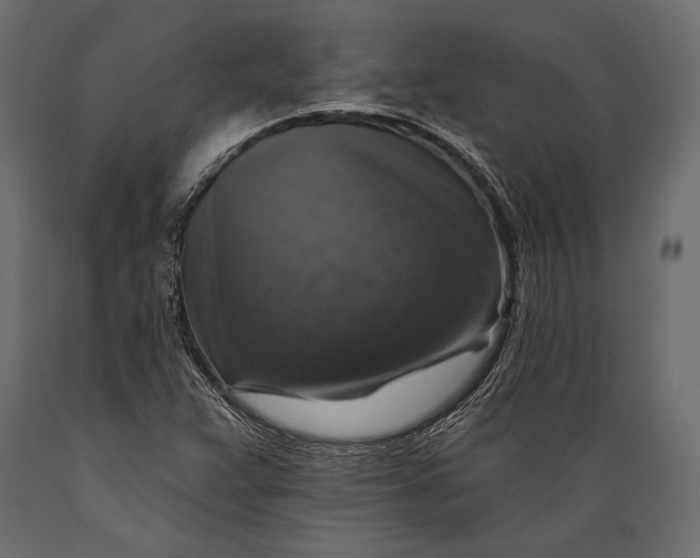 X0000088851359200706291446