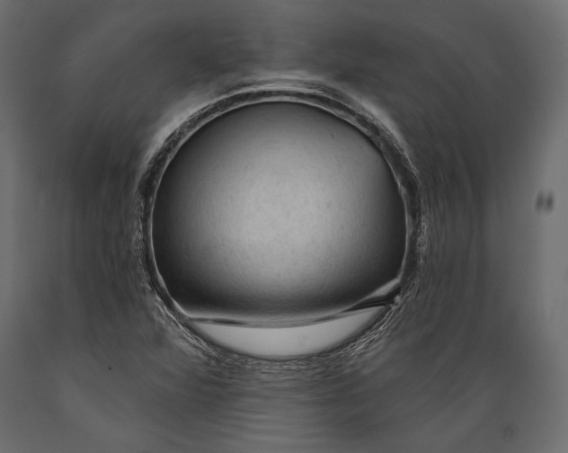 X0000088851360200706291446