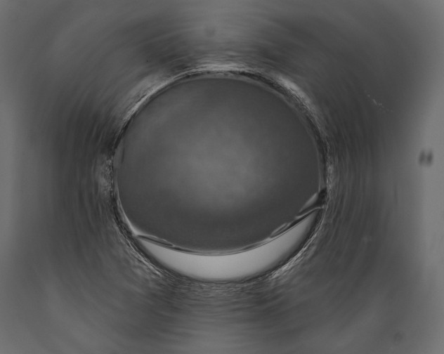 X0000088851361200706291446