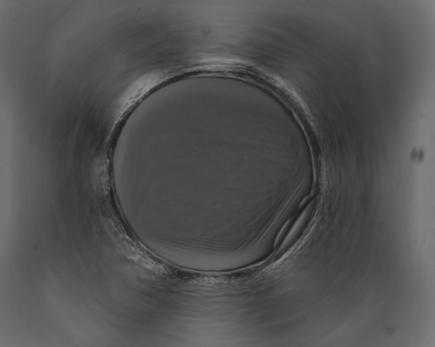 X0000088851362200706291446