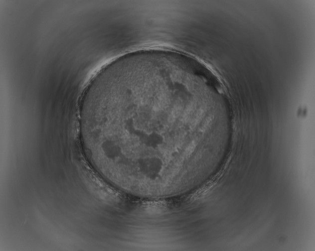 X0000088851363200706291446