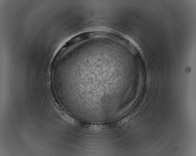 X0000088851364200706291446