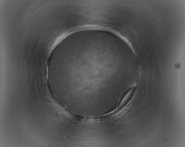 X0000088851365200706291445