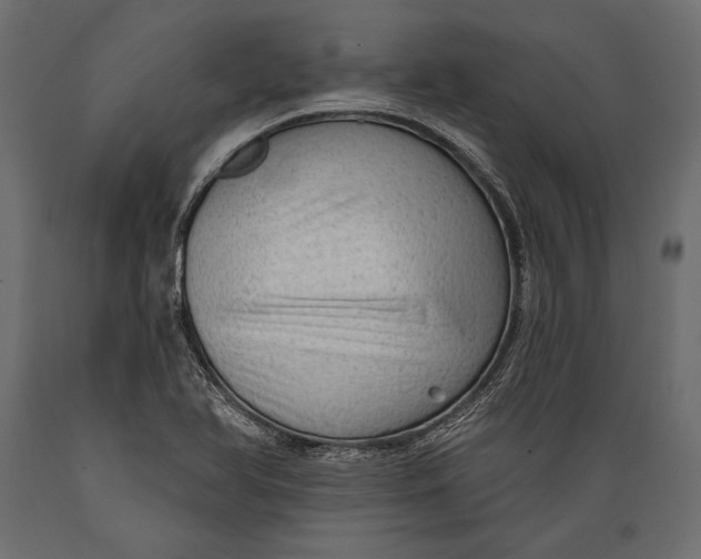 X0000088851366200706291445