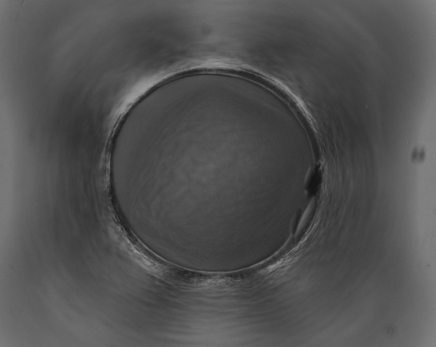 X0000088851367200706291445